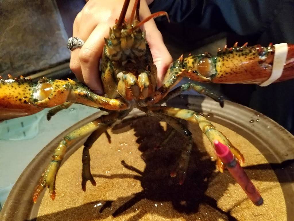 Red Lobster | restaurant | 2944 Interstate 45 N, Conroe, TX 77303, USA | 9367567391 OR +1 936-756-7391