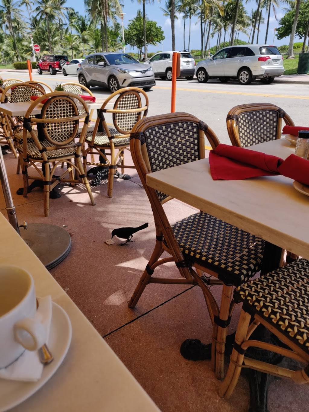 La Trattoria | restaurant | 1244 Ocean Dr, Miami Beach, FL 33139, USA | 3053362409 OR +1 305-336-2409