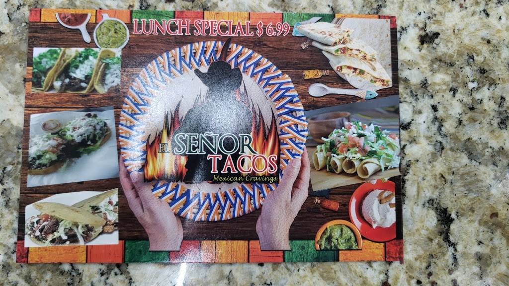 El Señor de Los Tacos | restaurant | 5919 W Linebaugh Ave, Tampa, FL 33624, USA | 8134759185 OR +1 813-475-9185