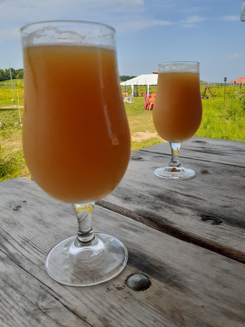 River Saint Joe | restaurant | 15475 Walton Rd, Buchanan, MI 49107, USA | 2694098015 OR +1 269-409-8015