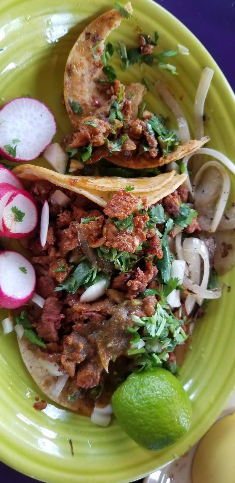 La Pinata | restaurant | 904 Rose St, Hayward, CA 94541, USA | 5105389967 OR +1 510-538-9967