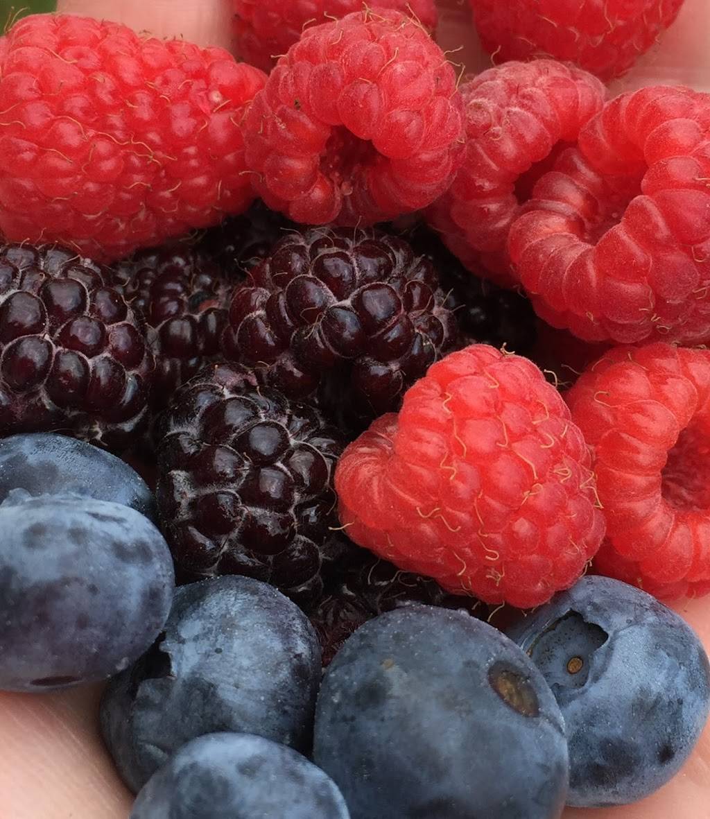 Dawsons Orchards, Inc. | restaurant | 122 Petersburg Rd, Enon Valley, PA 16120, USA | 7246677719 OR +1 724-667-7719