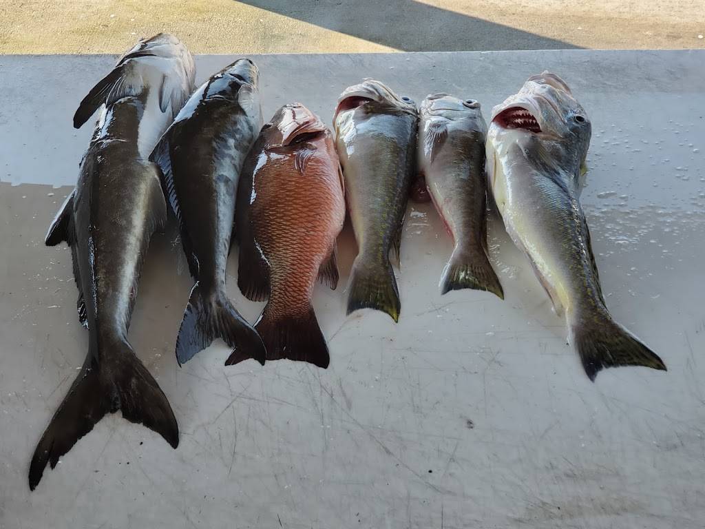 Hurricane Hole | restaurant | 1851 LA-1, Grand Isle, LA 70358, USA | 9857873663 OR +1 985-787-3663