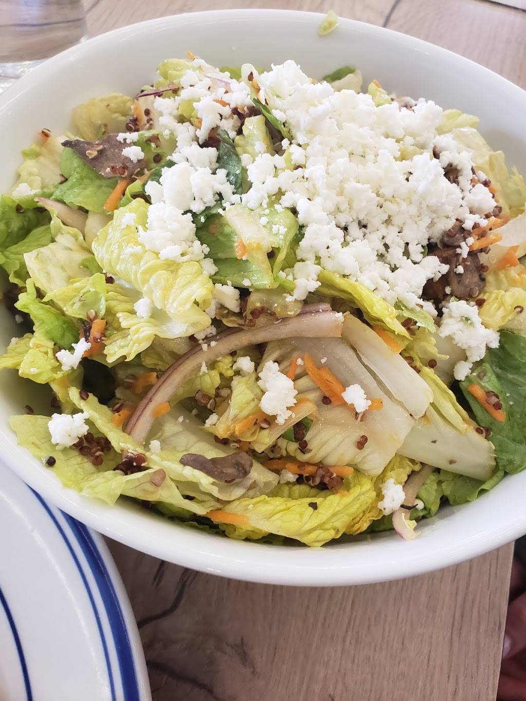 Cafotteria | restaurant | 10-12 America Ave, Lakewood, NJ 08701, USA | 7323670005 OR +1 732-367-0005