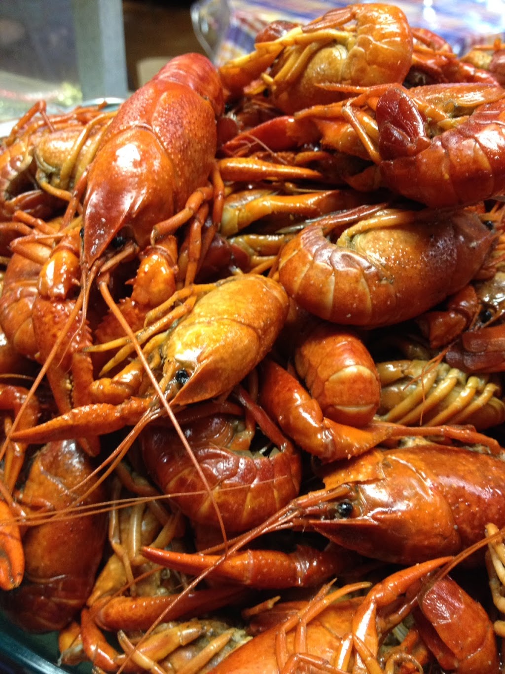 Cubs Crawfish | restaurant | 4145 Barrancas Ave, Pensacola, FL 32507, USA | 8504567551 OR +1 850-456-7551