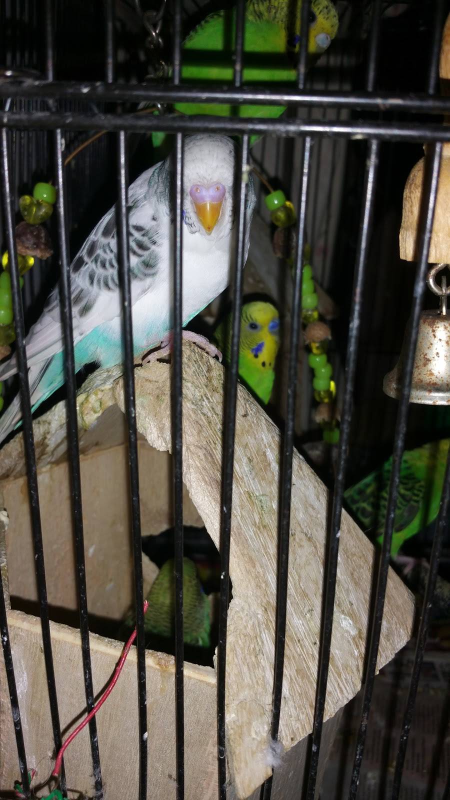 ZPA Cocktail Lounge | night club | 281 Grace St, Perth Amboy, NJ 08861, USA | 7324422660 OR +1 732-442-2660