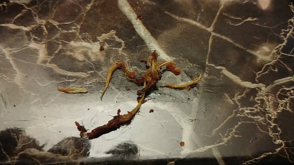 BurgerIM Petworth | restaurant | 3728 Georgia Ave NW, Washington, DC 20011, USA | 2027583557 OR +1 202-758-3557