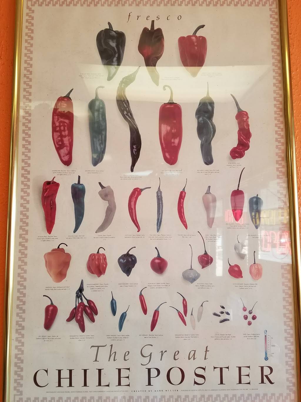 Buenos Dias Burritos | restaurant | 919 W Irving Park Rd, Itasca, IL 60143, USA | 6302507666 OR +1 630-250-7666