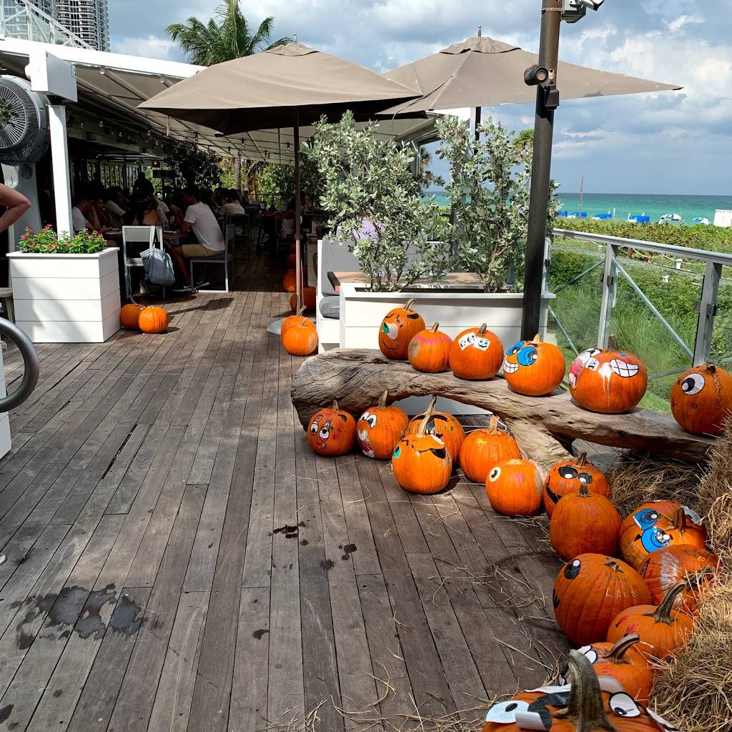 Malibu Farm Miami Beach | restaurant | 4525 Collins Ave, Miami Beach, FL 33140, USA | 3056745579 OR +1 305-674-5579