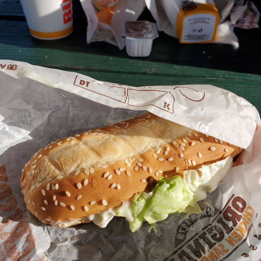 Burger King | restaurant | 8590 Navarre Pkwy, Navarre, FL 32566, USA | 8509391659 OR +1 850-939-1659