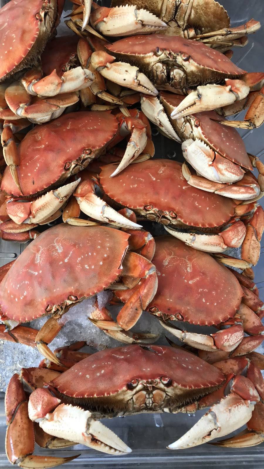 H & H Fresh Fish | restaurant | 493 Lake Ave A, Santa Cruz, CA 95062, USA | 8314623474 OR +1 831-462-3474