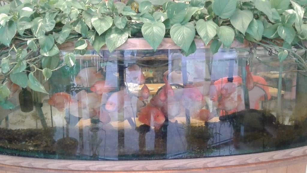 Hong Kong | restaurant | 1507 S Main St, Blackstone, VA 23824, USA | 4342924412 OR +1 434-292-4412