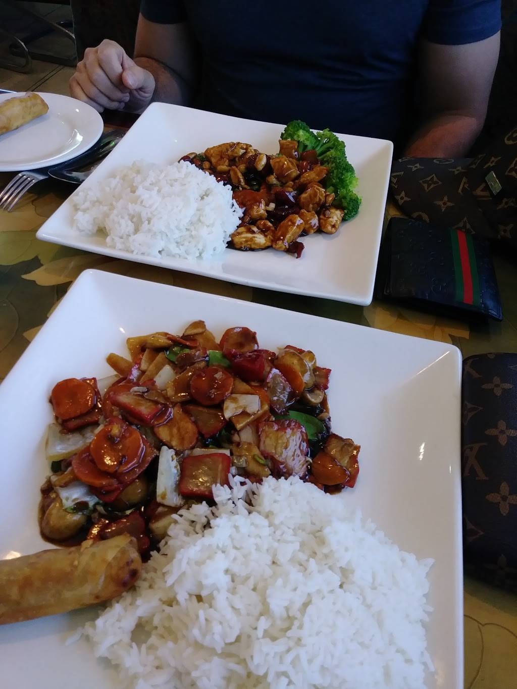 Hunan Village | restaurant | 3320, 3311 S Shepherd Dr, Houston, TX 77098, USA | 7135284651 OR +1 713-528-4651