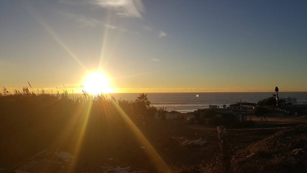 Mariscos Tamazula | restaurant | Blvd. Popotla km 32, Cuenca Diaz, Popotla, 22710 Rosarito, B.C., Mexico | 016611006586 OR +52 661 100 6586