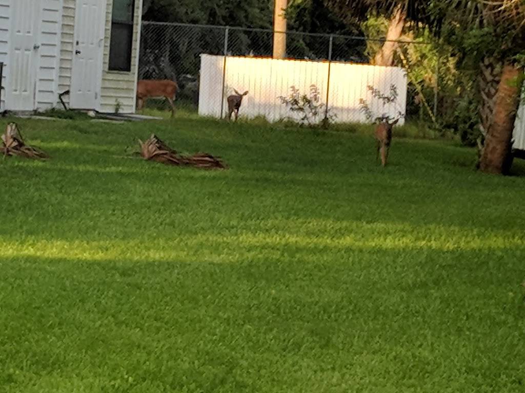 Jukebox Cafe | restaurant | 100 Plantation Dr, Titusville, FL 32780, USA | 3212648678 OR +1 321-264-8678