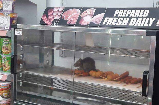 Zacatecas Meat Market | restaurant | 1286 W 39th St, Los Angeles, CA 90037, USA | 3237354093 OR +1 323-735-4093