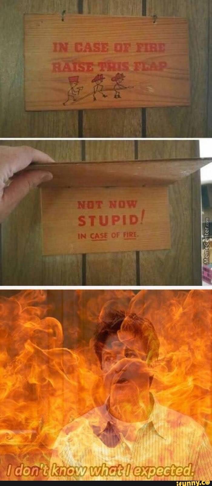 Wendys | restaurant | 803 E Center St, Madisonville, KY 42431, USA | 2708254011 OR +1 270-825-4011