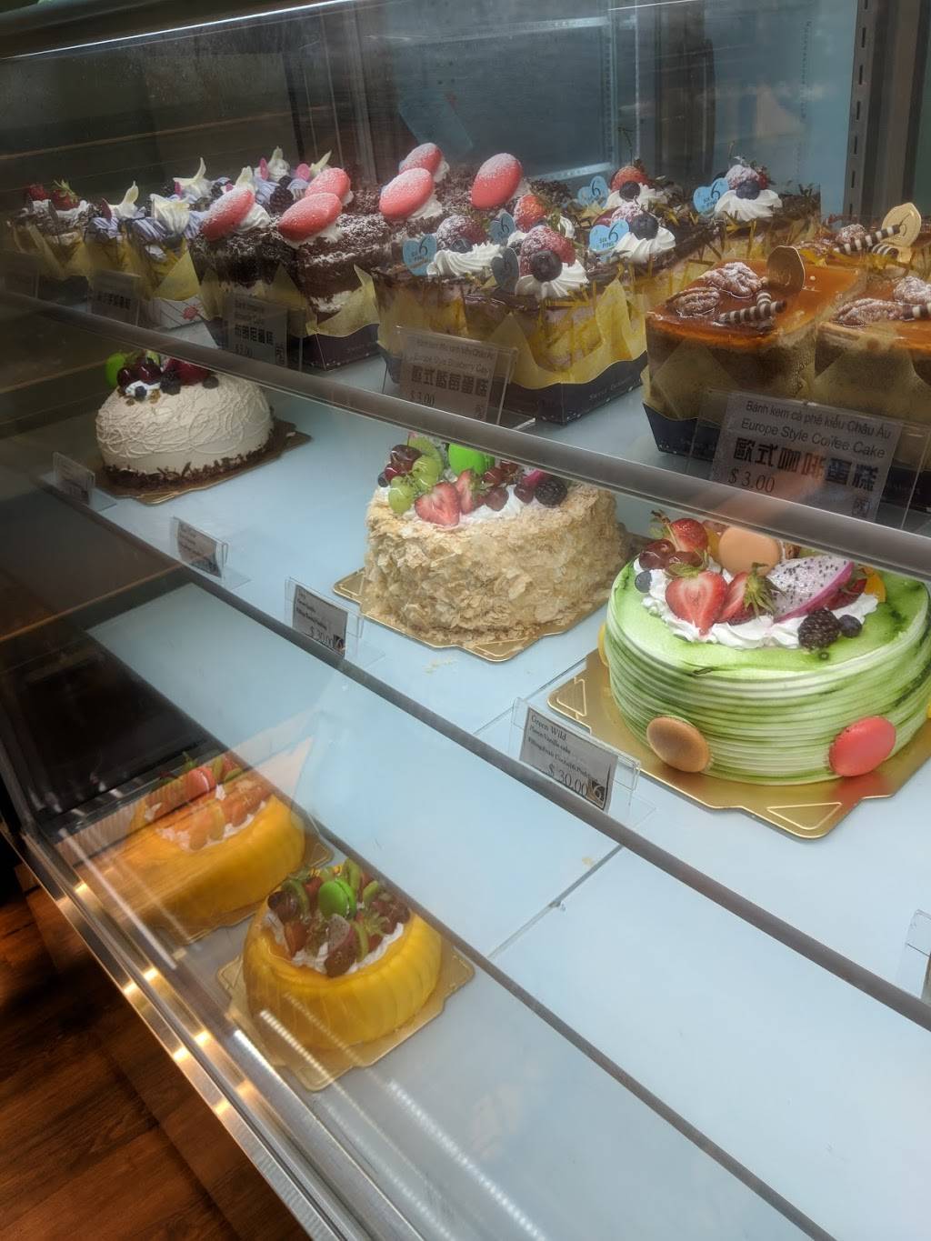 Tea Bar & Organics | cafe | 9889 Bellaire Blvd e211, Houston, TX 77036, USA | 2818880400 OR +1 281-888-0400