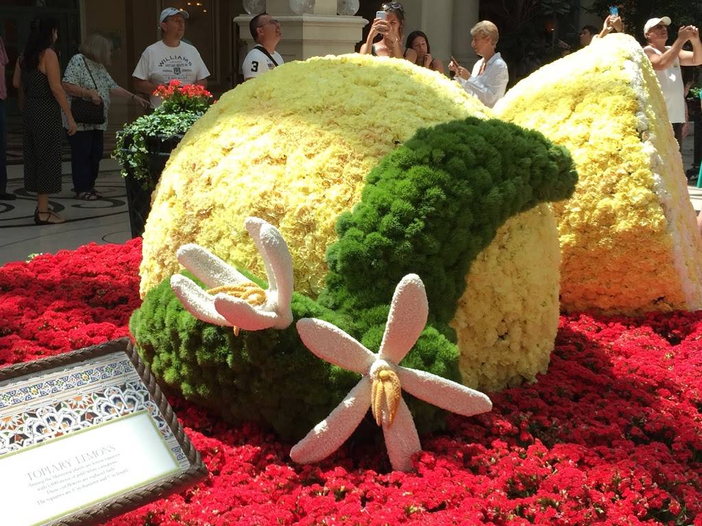 Fratelli Ristorante Italiano | cafe | 124 N Nevada Ave, Colorado Springs, CO 80903, USA | 7195759571 OR +1 719-575-9571