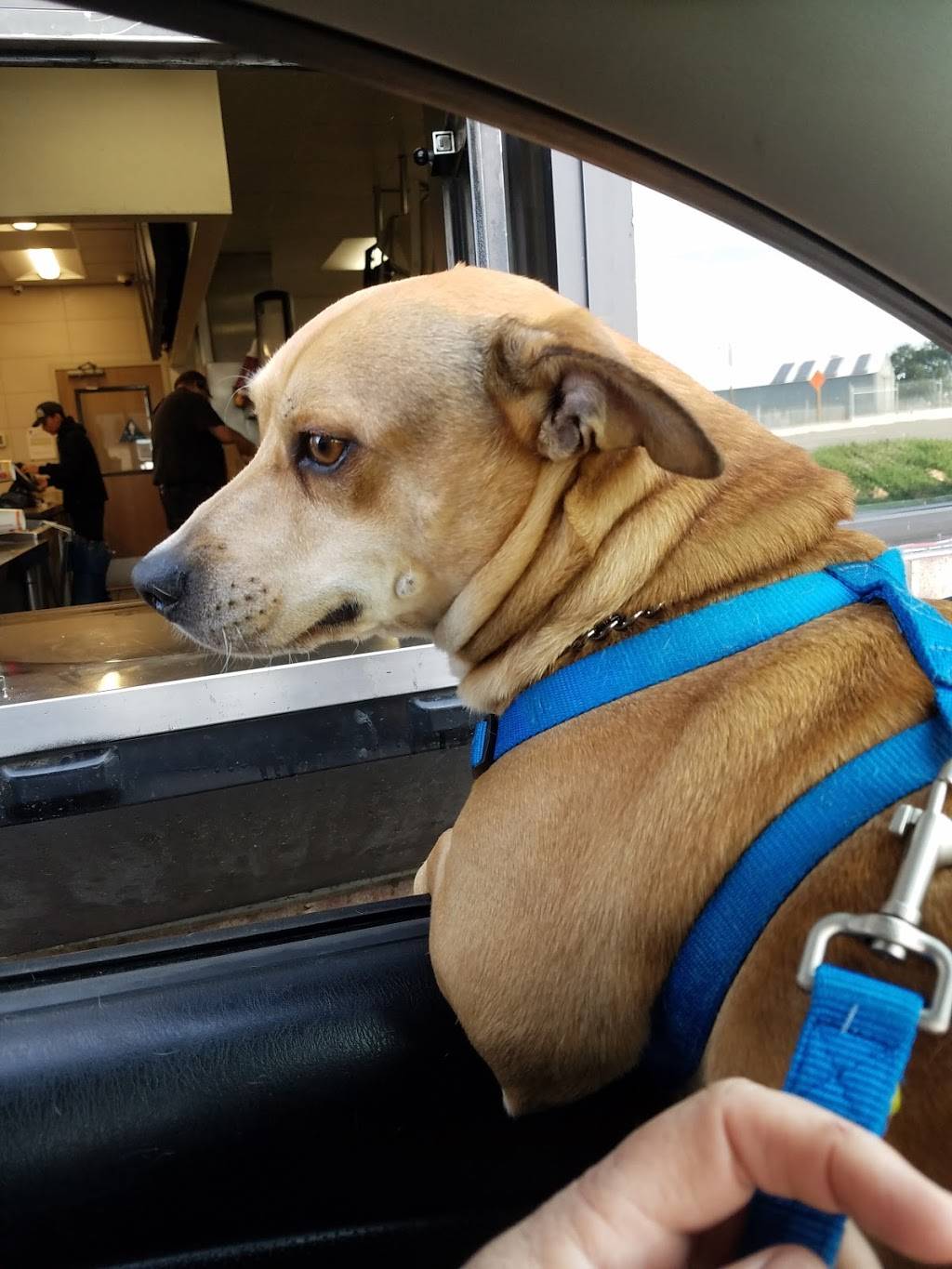 Burger King | restaurant | 4612 Kiernan Ave, Salida, CA 95368, USA | 2095433839 OR +1 209-543-3839