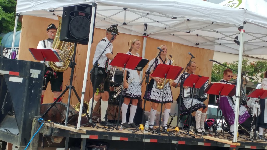 Fat Dog Pizza | restaurant | 116 Main Ave, Tillamook, OR 97141, USA | 5033542283 OR +1 503-354-2283