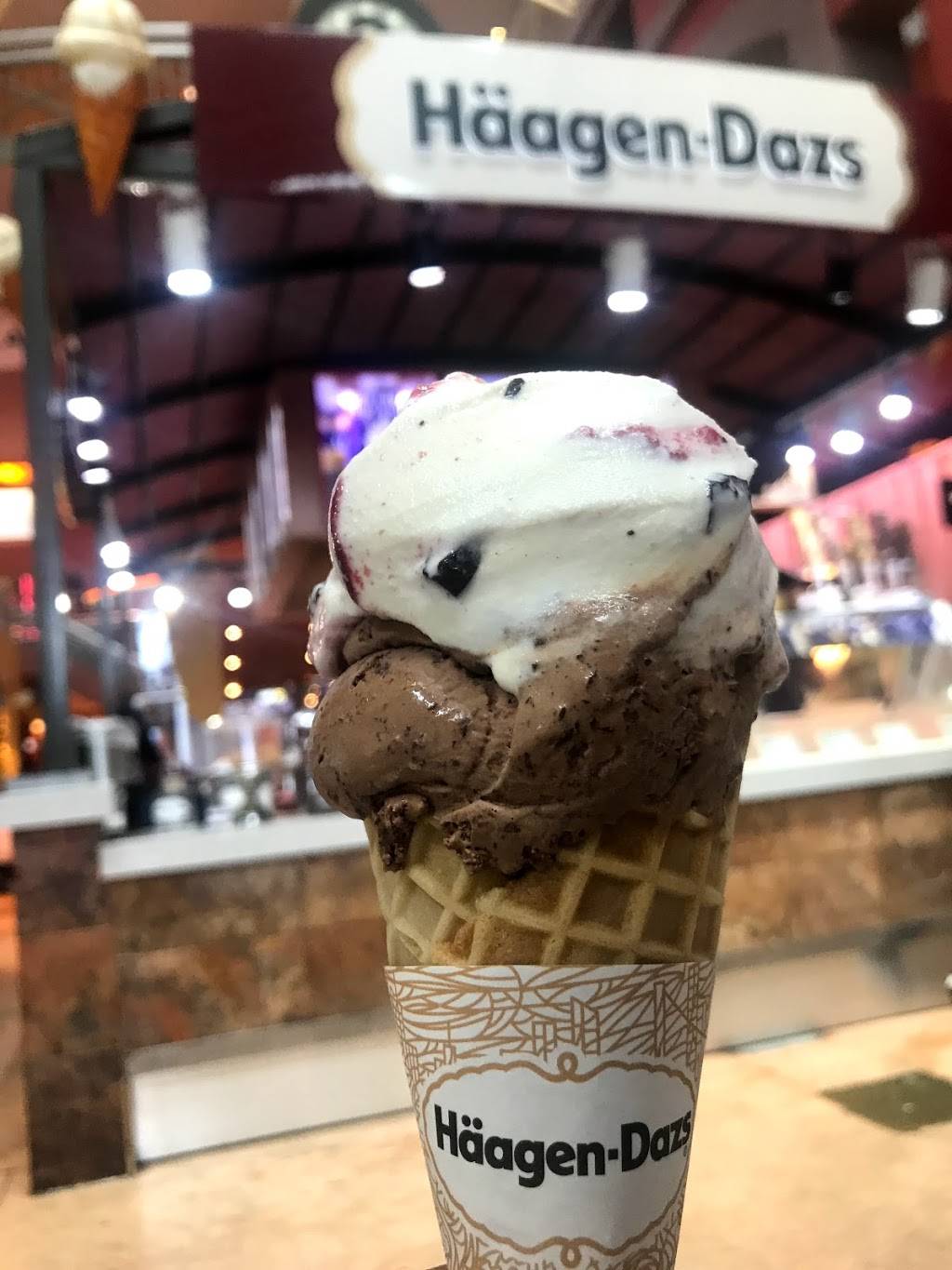 Haagen-Dazs | restaurant | 11401 Northwest 12th Street, Miami, FL 33172, USA | 3054776992 OR +1 305-477-6992