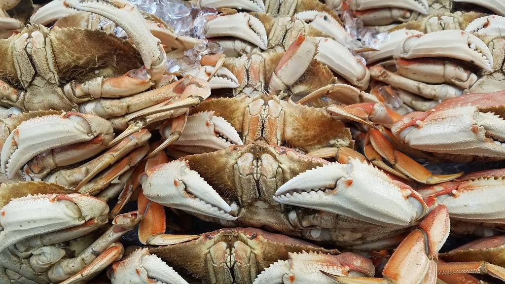Crab Station | restaurant | 2803 Taylor St, San Francisco, CA 94101, USA | 4154748796 OR +1 415-474-8796