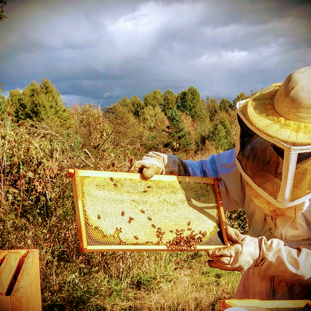 Lindas Bee Farm | restaurant | 3323 Parkman Rd NW, Warren, OH 44481, USA | 3303147856 OR +1 330-314-7856