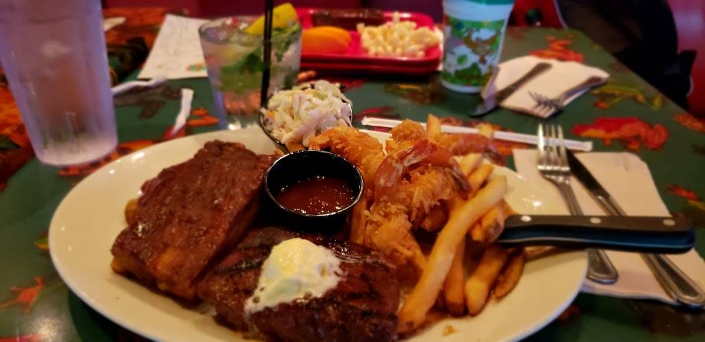 Rainforest Cafe | restaurant | 505 Rain Forest Rd, Lake Buena Vista, FL 32830, USA | 4079389100 OR +1 407-938-9100