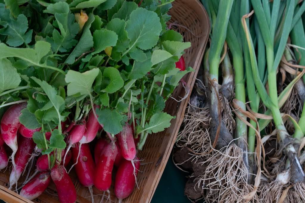 Healthy Roots Cafe | restaurant | 909 W Vineyard Rd A, Phoenix, AZ 85041, USA | 6029890590 OR +1 602-989-0590