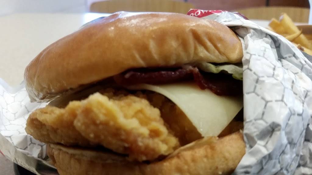 Wendys | restaurant | 259 Hillside Avenue, Williston Park, NY 11596, USA | 5162944888 OR +1 516-294-4888