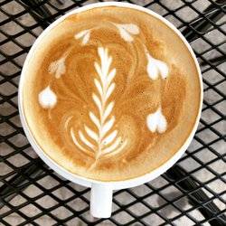 Birds Nest Cafe | restaurant | 2106 S Olive St, Los Angeles, CA 90007, USA | 2135365676 OR +1 213-536-5676