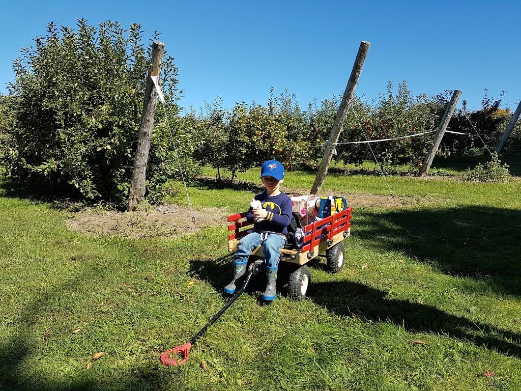 Baileyss Homestead Restaurant | restaurant | 90 Wexford Dr, Keswick, ON L4P 3P7, Canada | 9055355200 OR +1 905-535-5200