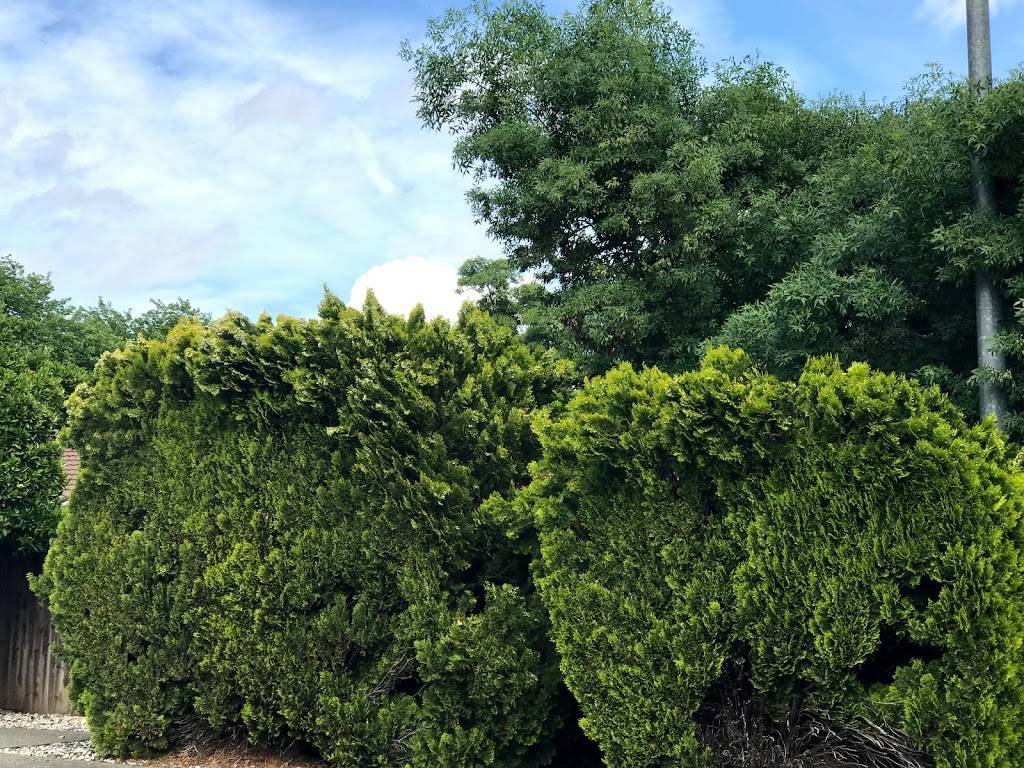 El Macero Country Club | night club | 44571 Clubhouse Dr, El Macero, CA 95618, USA | 5307533363 OR +1 530-753-3363