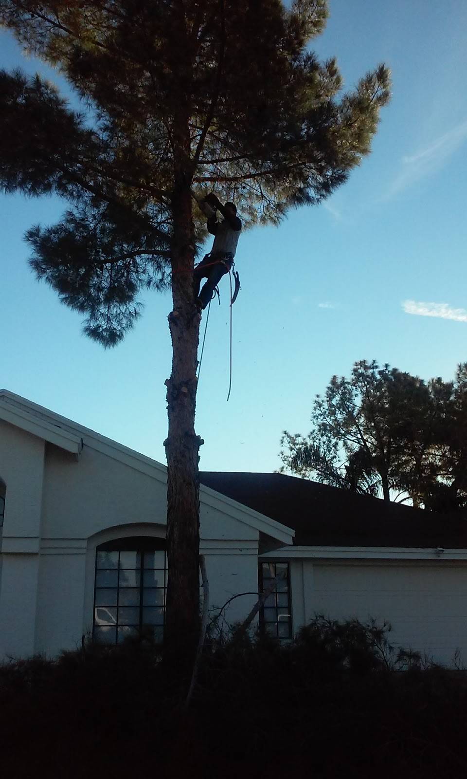 Gorditas El Tio | restaurant | 3202 E Greenway Rd, Phoenix, AZ 85032, USA | 6028679032 OR +1 602-867-9032