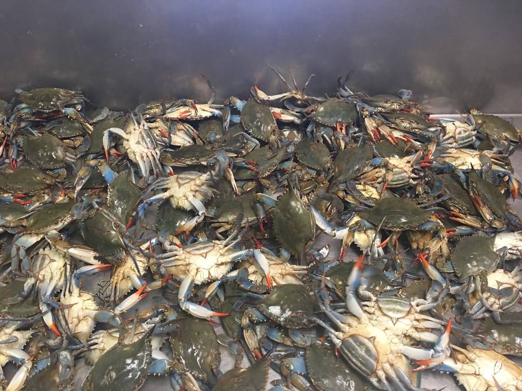 Fresh Catch Seafood Market & Carryout Restaurant | meal takeaway | 101 Hoskins St, High Point, NC 27260, USA | 3368844110 OR +1 336-884-4110