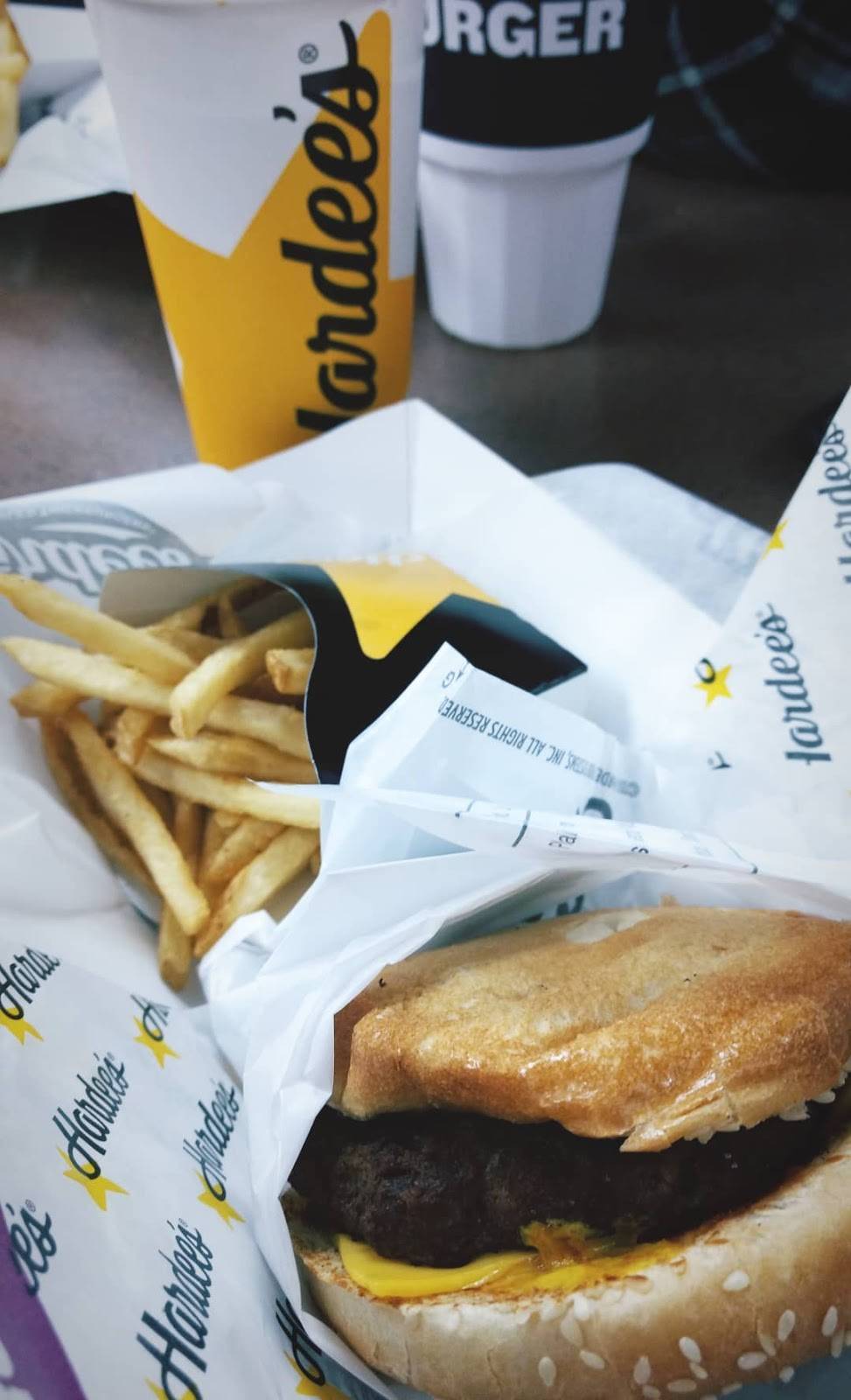 Hardees | restaurant | 1213 Woodruff Rd, Greenville, SC 29607, USA | 8642889007 OR +1 864-288-9007