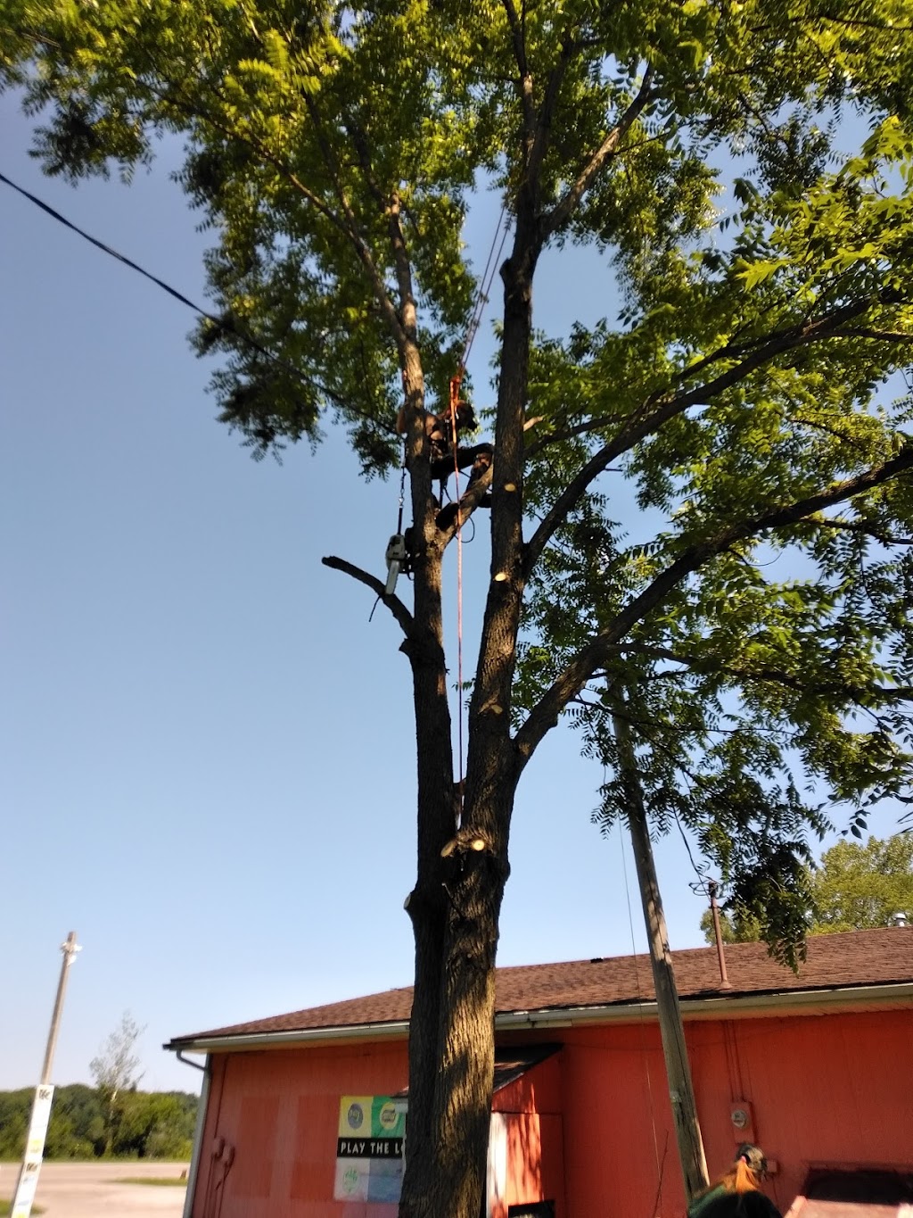 Midway Grocery | meal takeaway | 57901 M-51, Decatur, MI 49045, USA | 2697835412 OR +1 269-783-5412