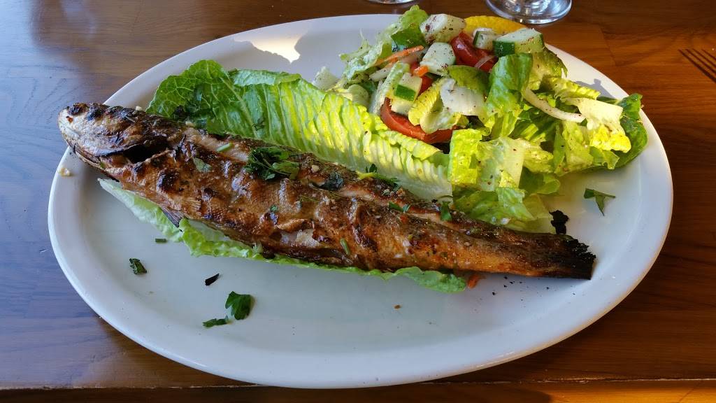 Mediterranean Kebab House | meal delivery | 190 Post Ave, Westbury, NY 11590, USA | 5163338715 OR +1 516-333-8715