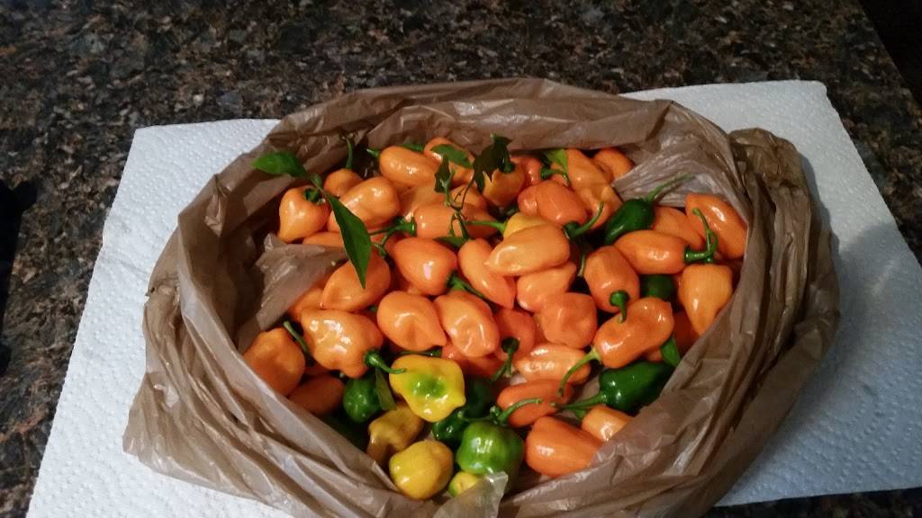 Linda Vista | restaurant | 7070 SW Archer Rd #3102, Gainesville, FL 32608, USA | 3523777866 OR +1 352-377-7866