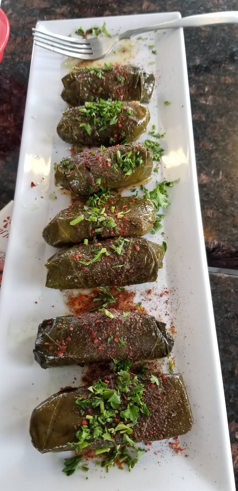 DUNYA fresh halal food | restaurant | 319 Blanding Blvd, Orange Park, FL 32073, USA | 9046448548 OR +1 904-644-8548