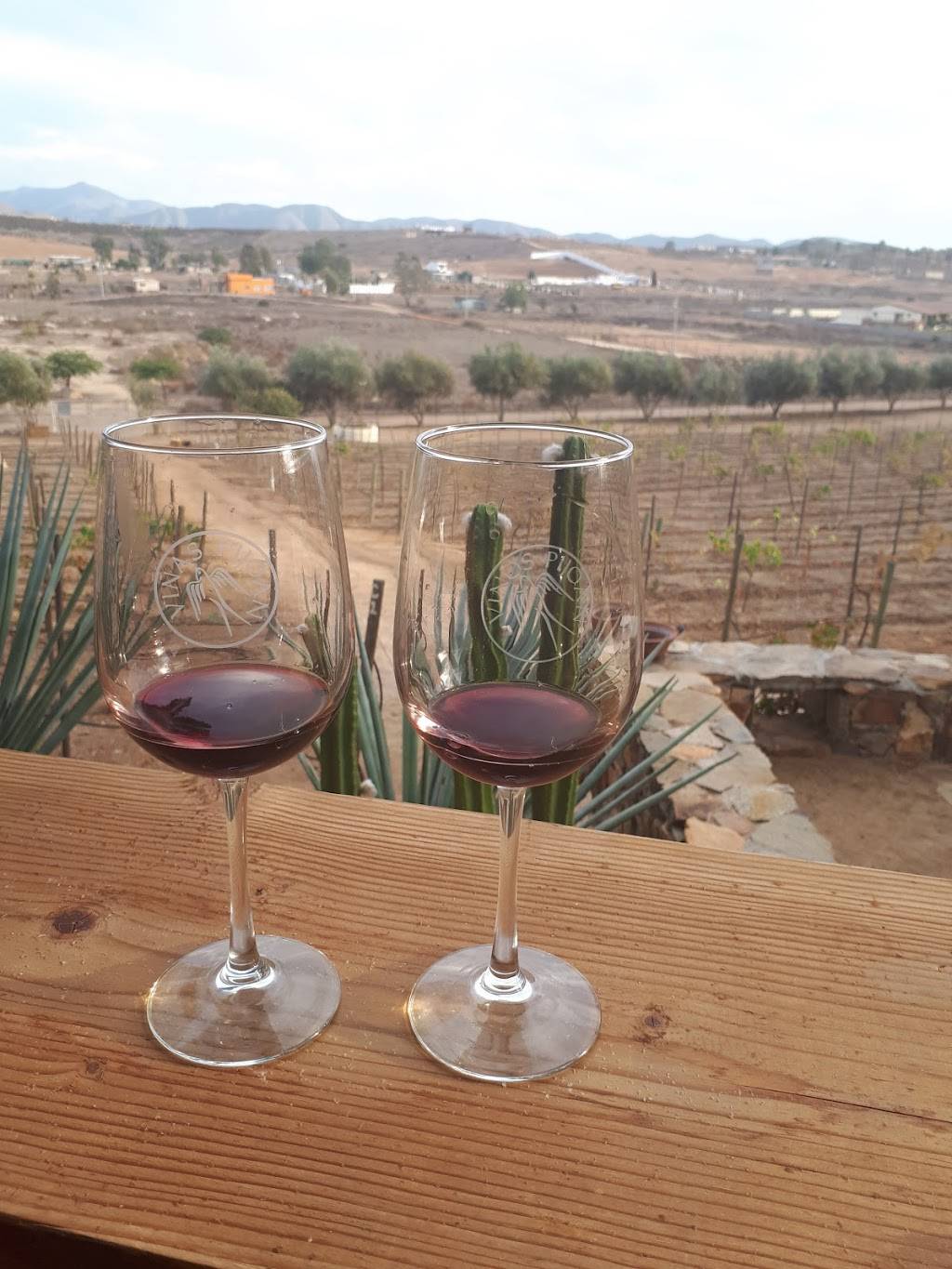 Koipai cocina | restaurant | Carretera El Tigre Km.13.5 Rancho San Marcos Poblado, El Porvenir, B.C., Mexico | 016461758622 OR +52 646 175 8622