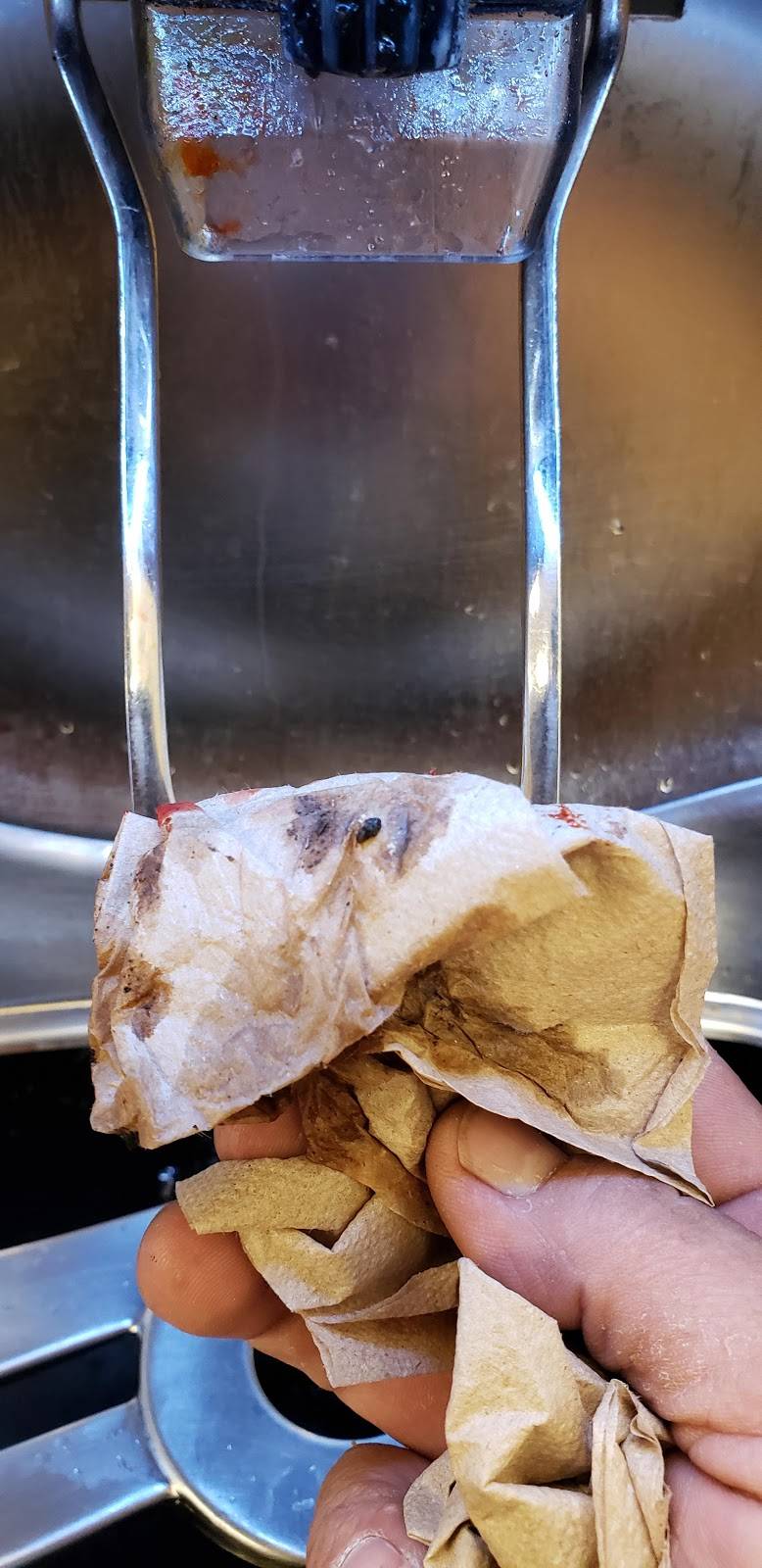 Wendys | restaurant | 601 Executive Park Ct, Apopka, FL 32703, USA | 4076826434 OR +1 407-682-6434