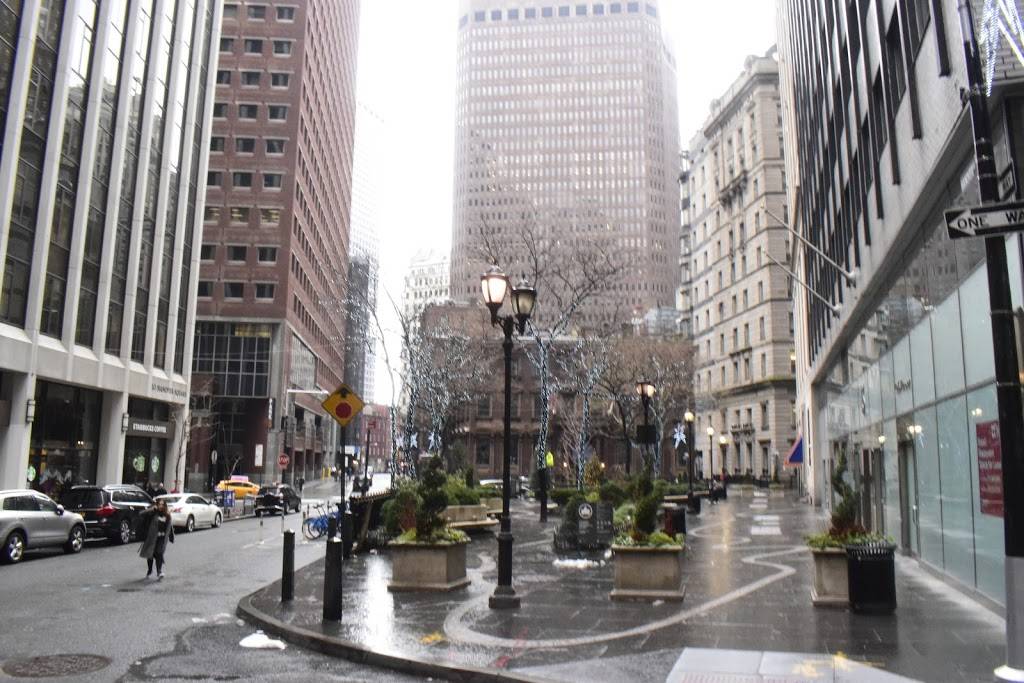 Starbucks | cafe | 110 Pearl St, New York, NY 10005, USA | 2124826530 OR +1 212-482-6530