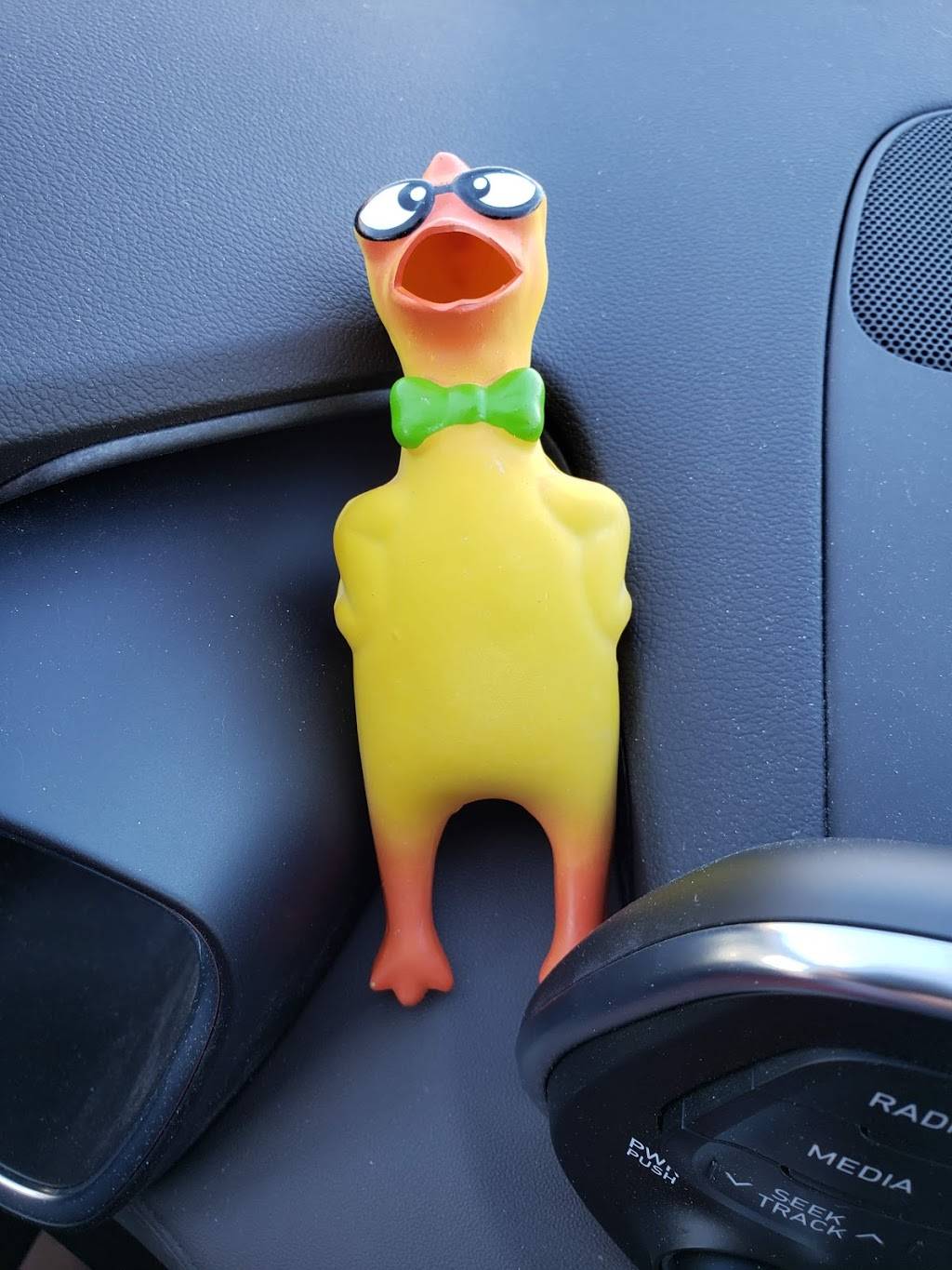 El Chavo Elotes | restaurant | 6954 N Mesa St, El Paso, TX 79912, USA | 9156003451 OR +1 915-600-3451