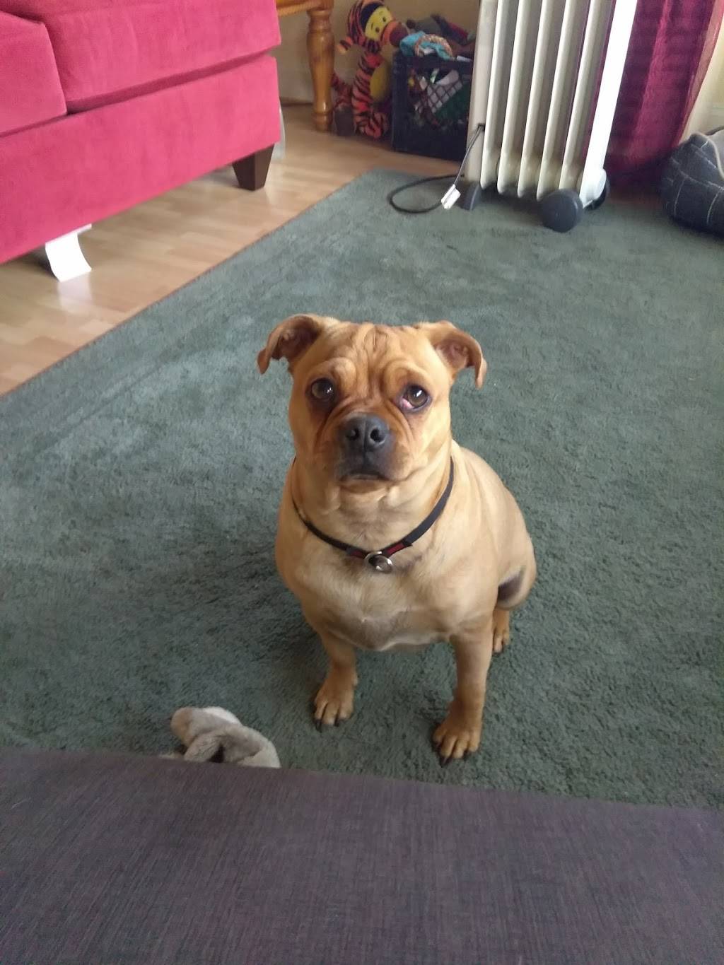 Kent Island Crab Co | meal takeaway | 2905 Mountain Rd, Pasadena, MD 21122, USA | 4104372155 OR +1 410-437-2155