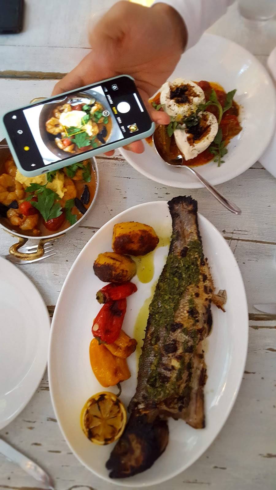 Taboon | restaurant | 773 10th Ave, New York, NY 10019, USA | 2127130271 OR +1 212-713-0271