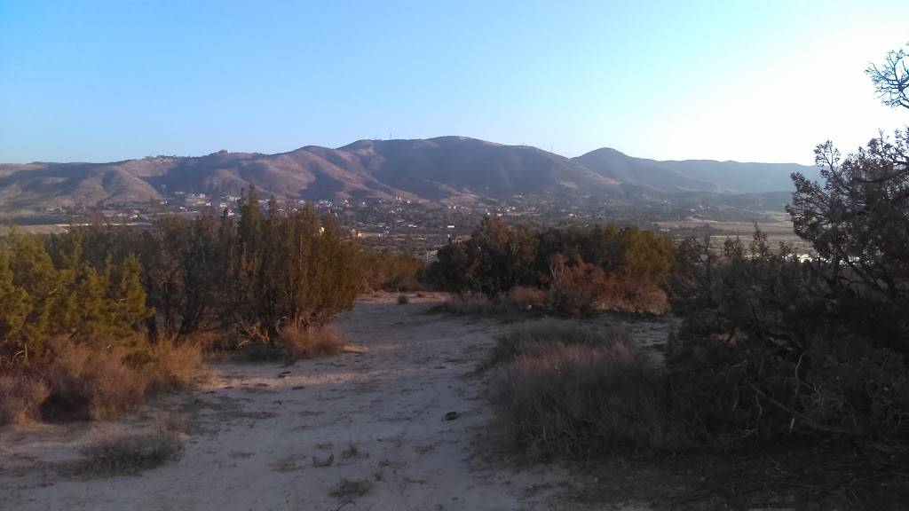 El Taco Llama | restaurant | 7344 Van Nuys Blvd, Van Nuys, CA 91405, USA | 8189011898 OR +1 818-901-1898