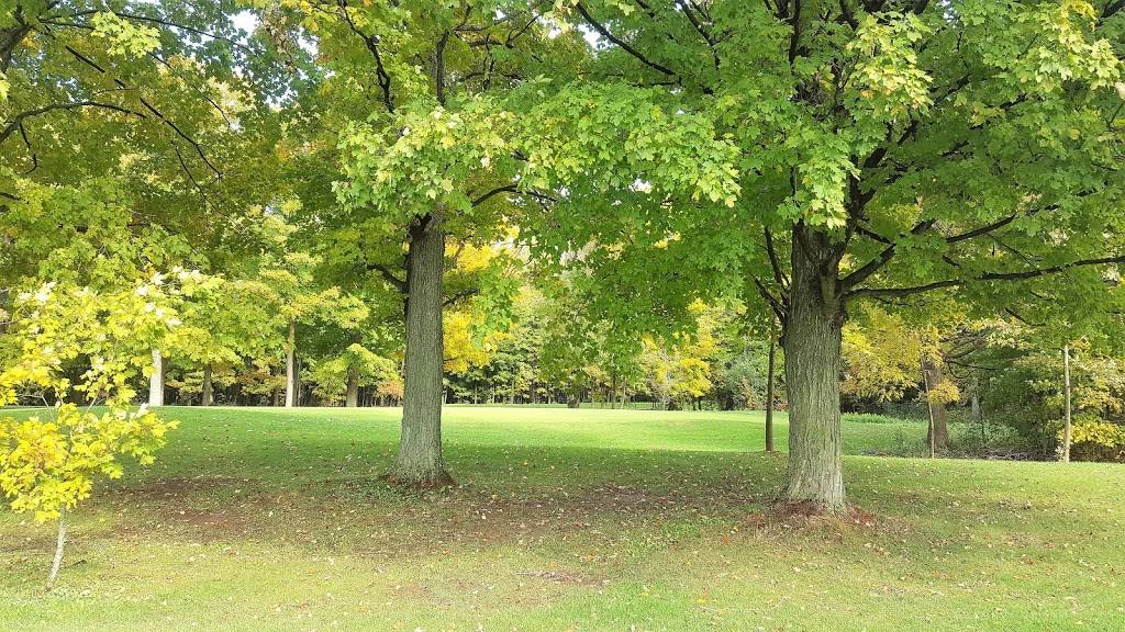 Stone Tree - Golf, Fitness and Banquets | restaurant | 318085 Hwy 6&10, Owen Sound, ON N4K 5N6, Canada | 5193767899 OR +1 519-376-7899