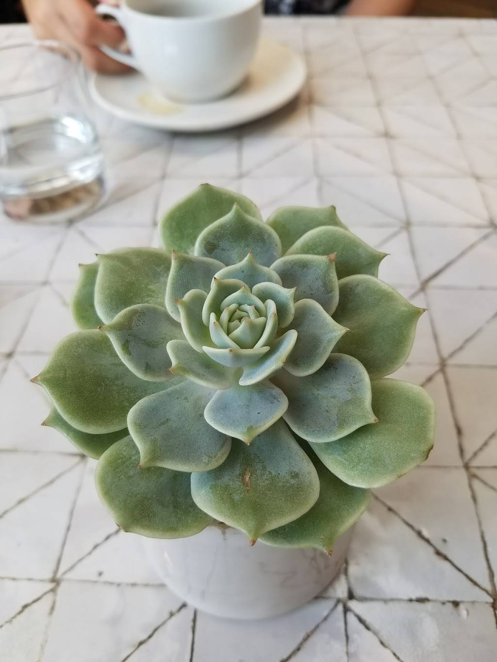 Gratitude Kitchen & Bar | restaurant | A, 1617 Westcliff Dr #112, Newport Beach, CA 92660, USA | 9493868100 OR +1 949-386-8100